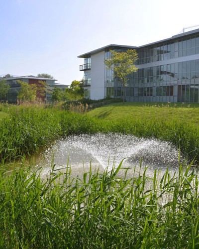 Aménagement et entretien d'espaces verts